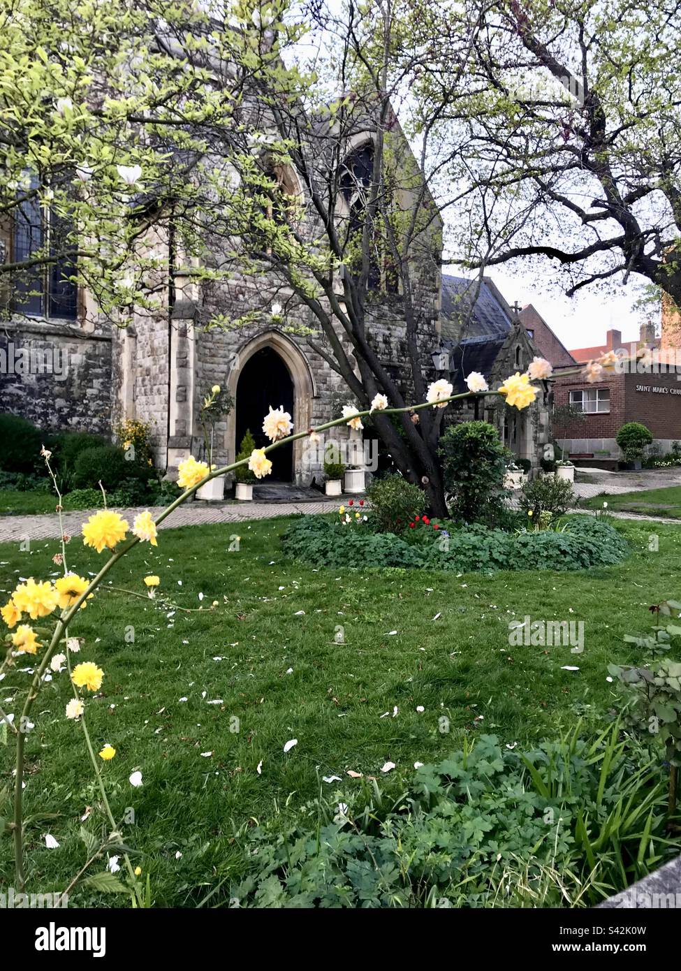 Fleurs jaunes devant l'église, Londres Banque D'Images