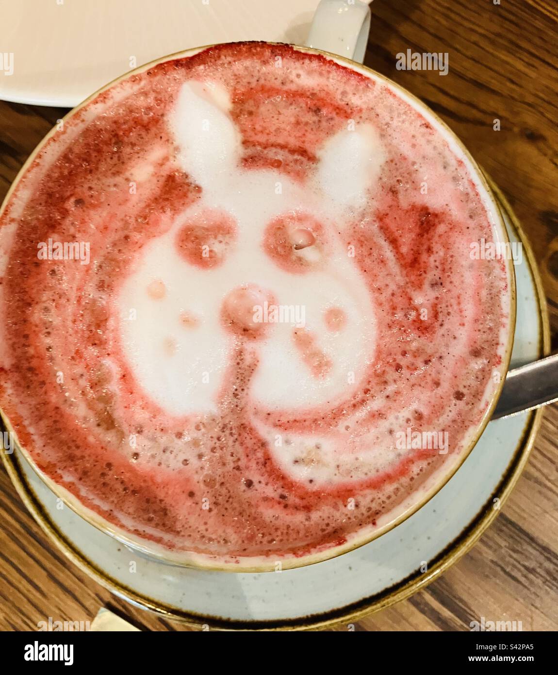 Latte de betterave, avec un visage de lapin Banque D'Images