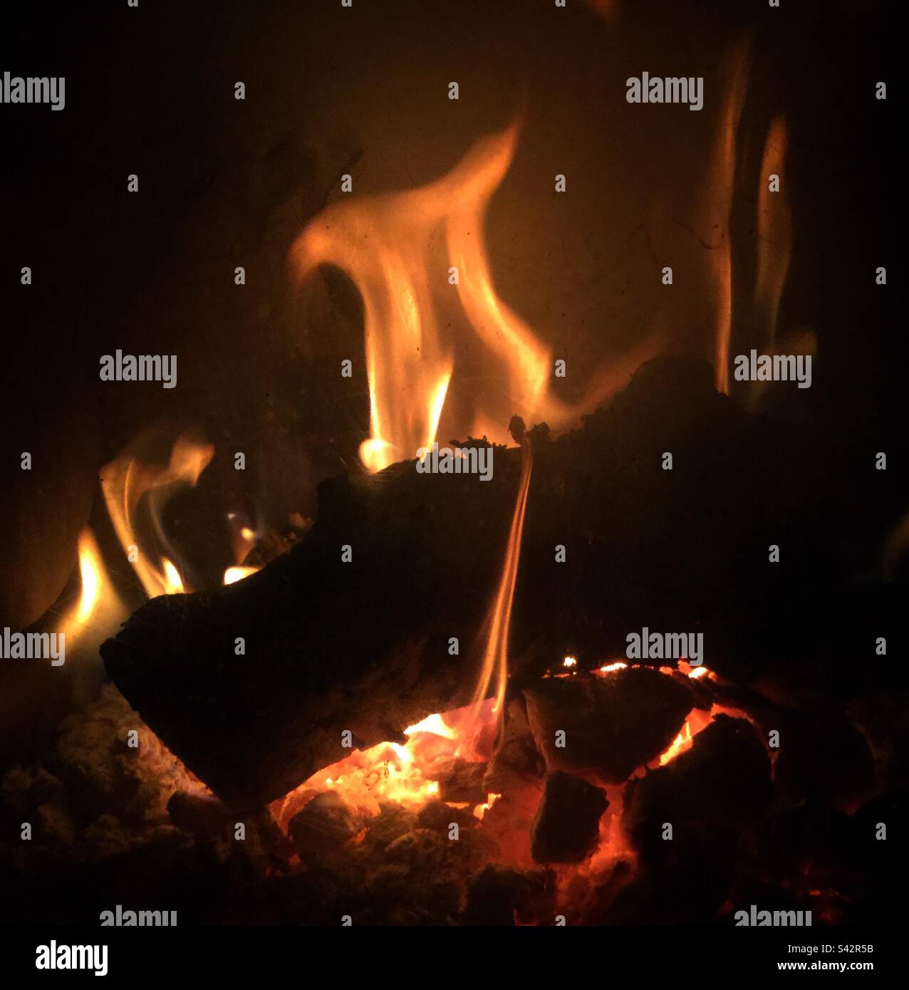 Feu de bois, Catalogne, Espagne. Banque D'Images