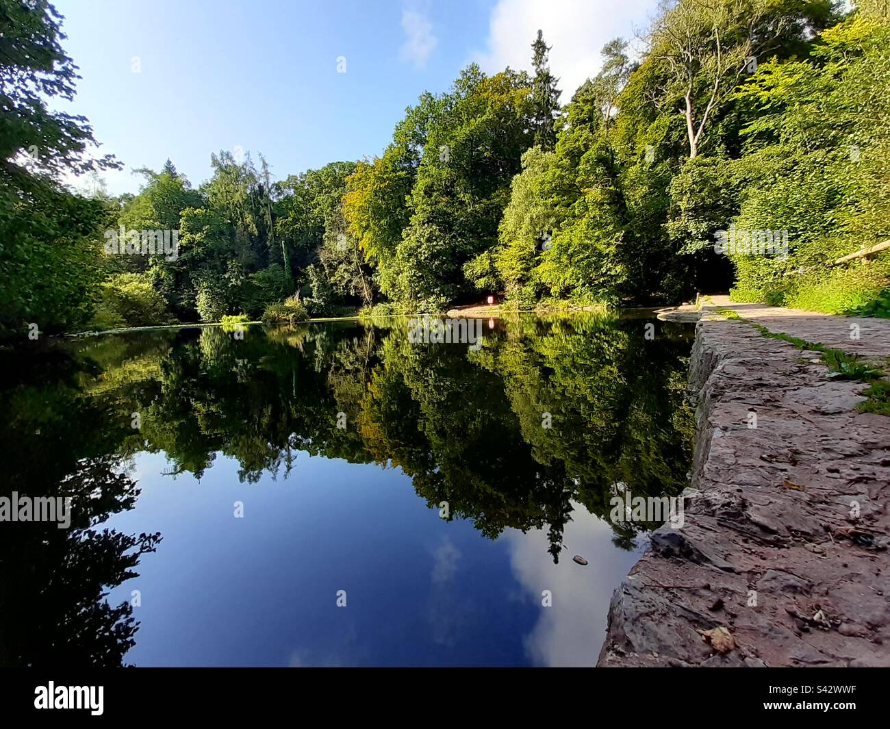 Abbots Pool, North Somerset, Royaume-Uni, arbres reflétés dans l'eau Banque D'Images