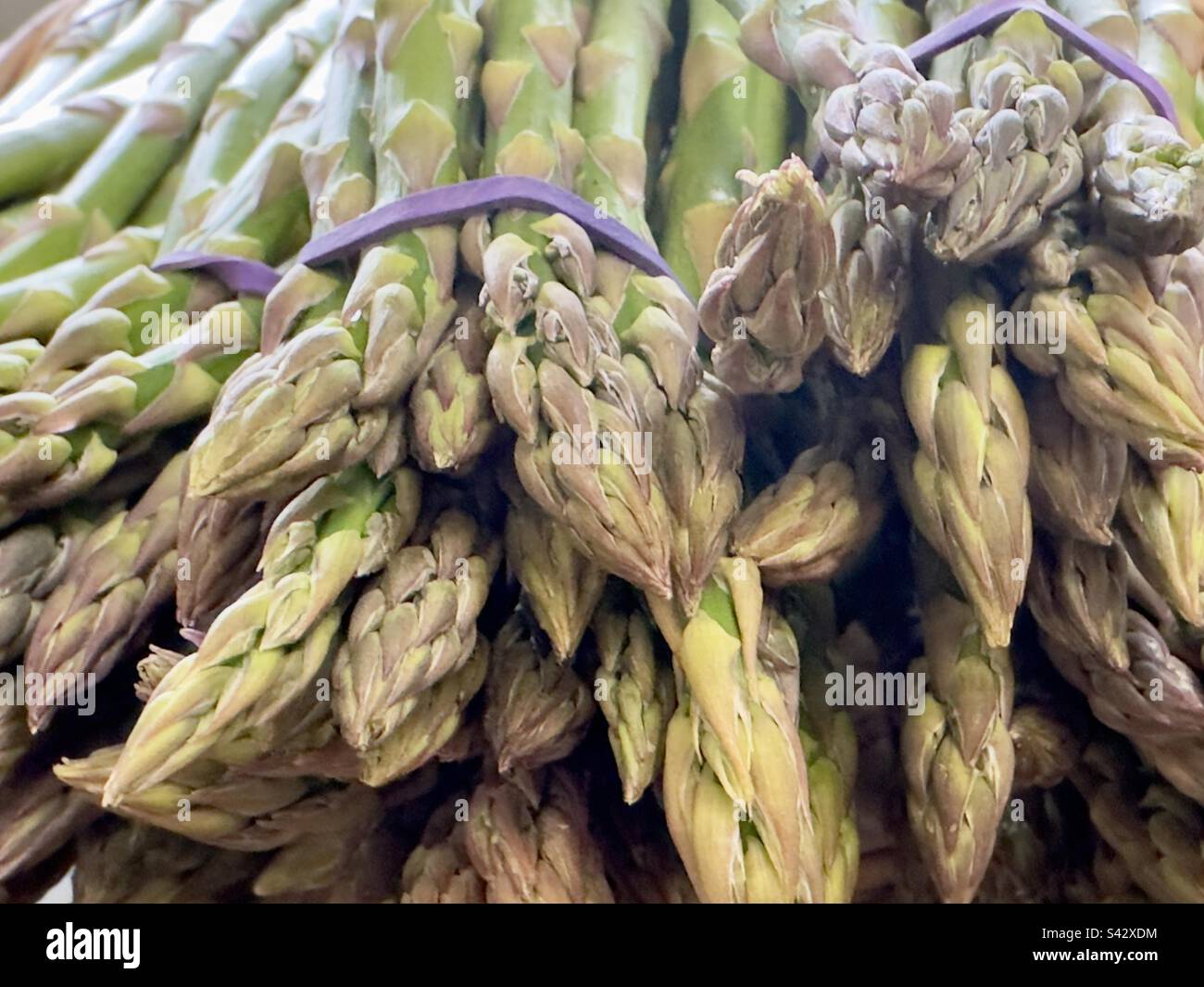 Des petits pains d'asperges à vendre dans une ferme de Warwickshire. Banque D'Images