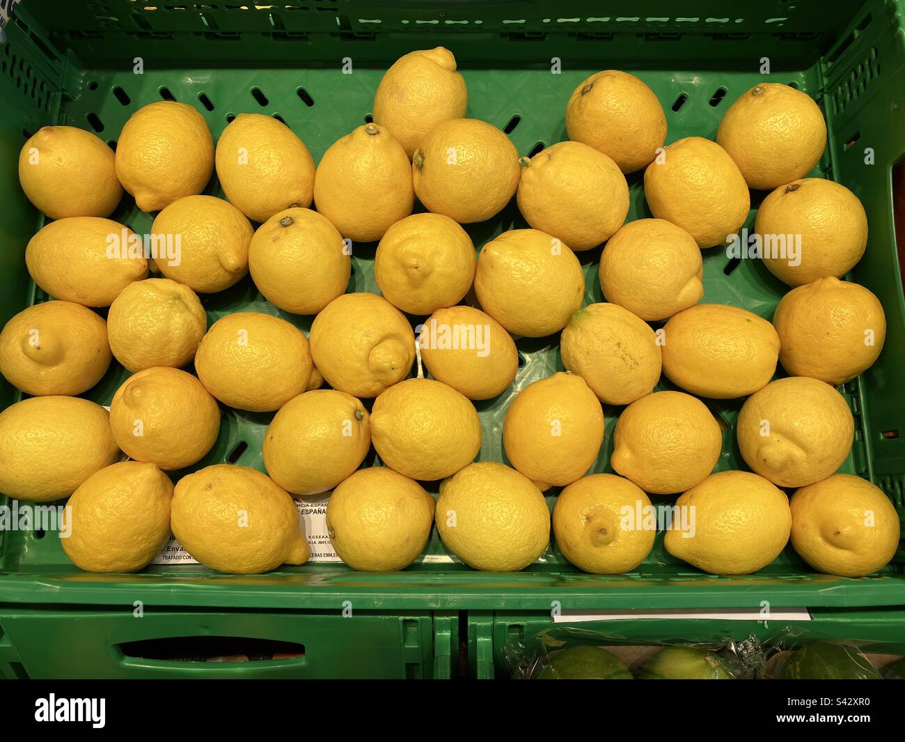 Citrons frais biologiques exposés à la vente dans un supermarché, province d'Alicante, Espagne - Image de stock capturée avec un smartphone
