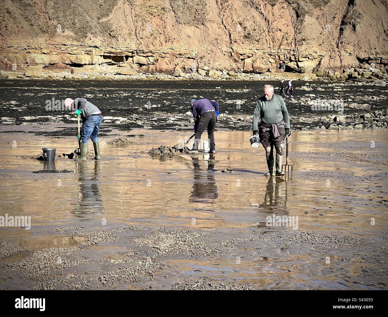 Les pêcheurs qui creusent des appâts sur la plage Banque D'Images