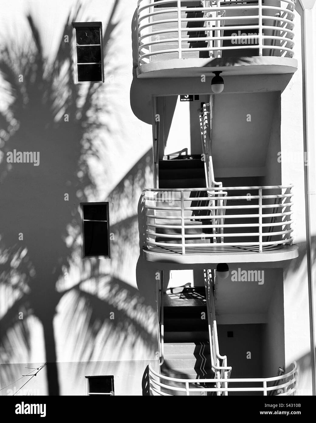 Ombres de palmiers sur le côté de l'hôtel Kimpton Surfcomber, South Beach, Miami Beach, Floride, États-Unis Banque D'Images Ombres de palmiers sur le côté de l'hôtel Kimpton Surfcomber, South Beach, Miami Beach, Floride, États-Unis Banque D'Images