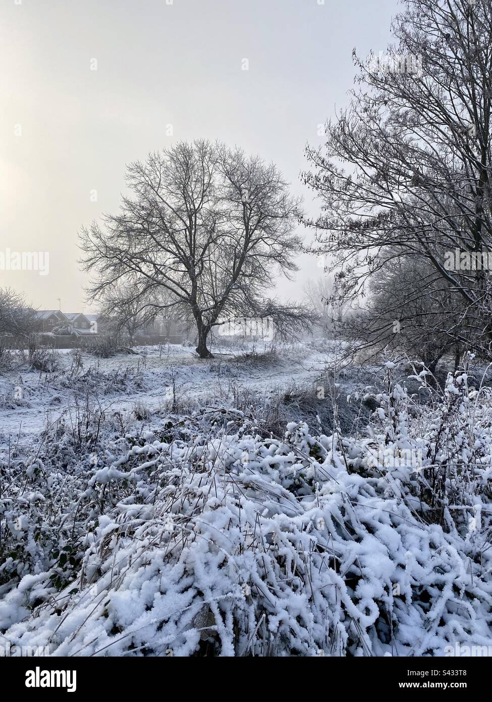 Un matin d'hiver enneigé et glacé en Angleterre Banque D'Images