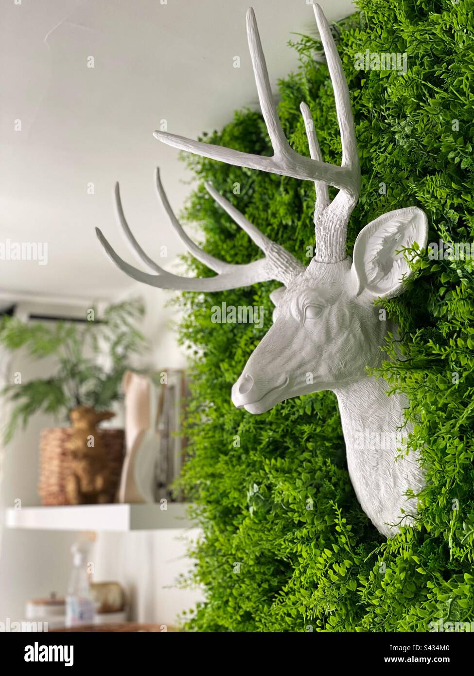 Décoration imitation tête de cerf sur un mur vert Banque D'Images