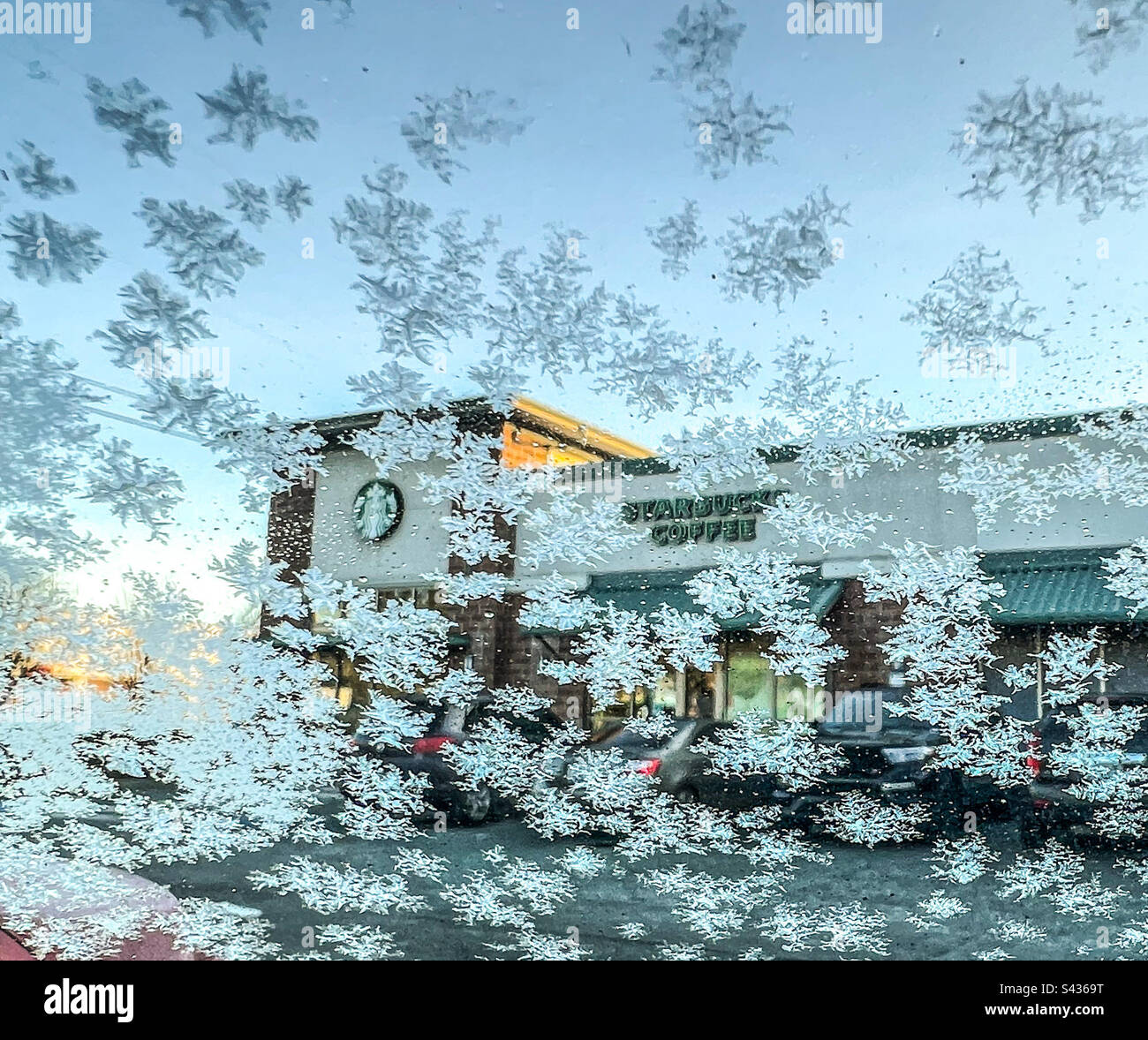 Matin glacial au Starbucks Banque D'Images