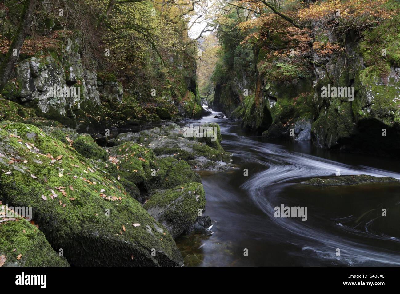 La gorge de Fairy Glen et le ruisseau avec quelques couleurs automnales encore en montre Banque D'Images