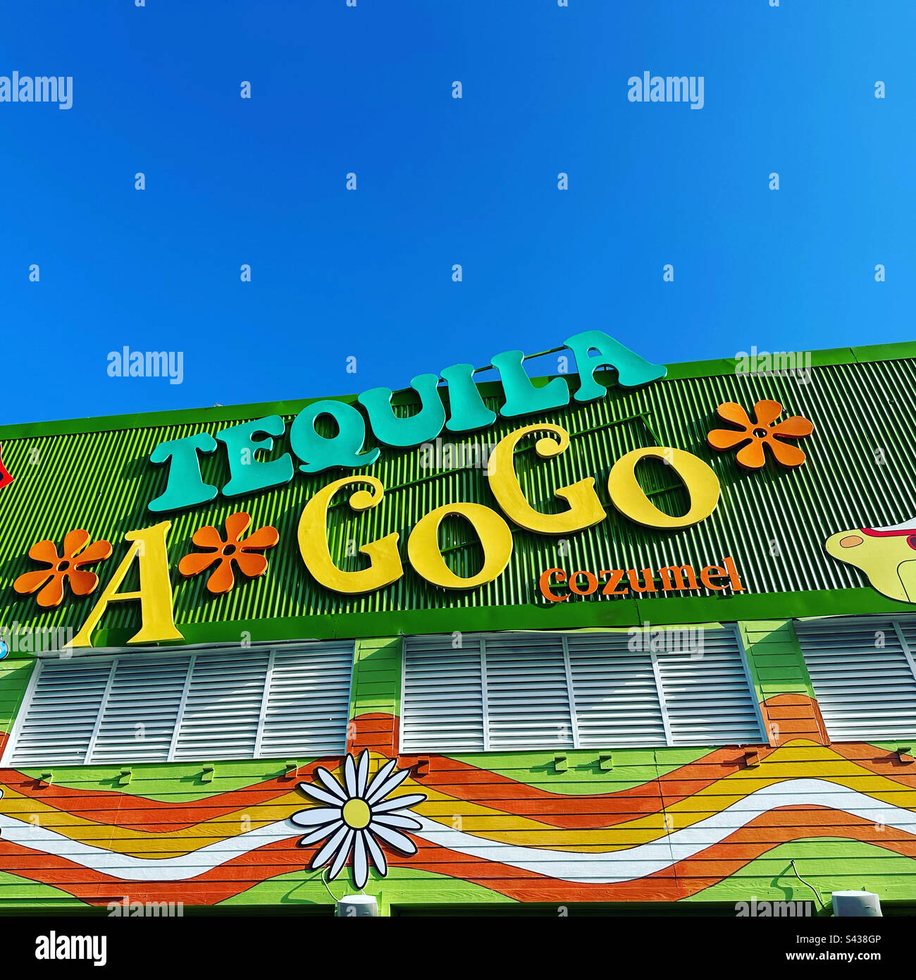 Janvier 2023, Tequila a GoGo, International Pier, Cozumel, Quintana Roo, Mexique Banque D'Images