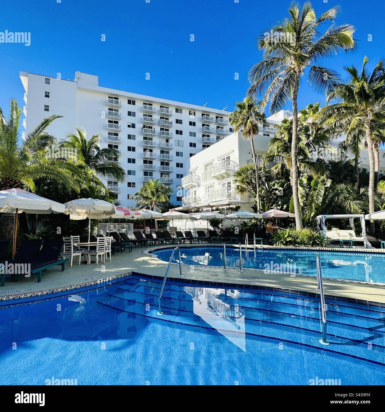 Piscine, The Savoy Hotel and Beach Club, South of Fifth, South Beach, Miami Beach, Floride, États-Unis Banque D'Images