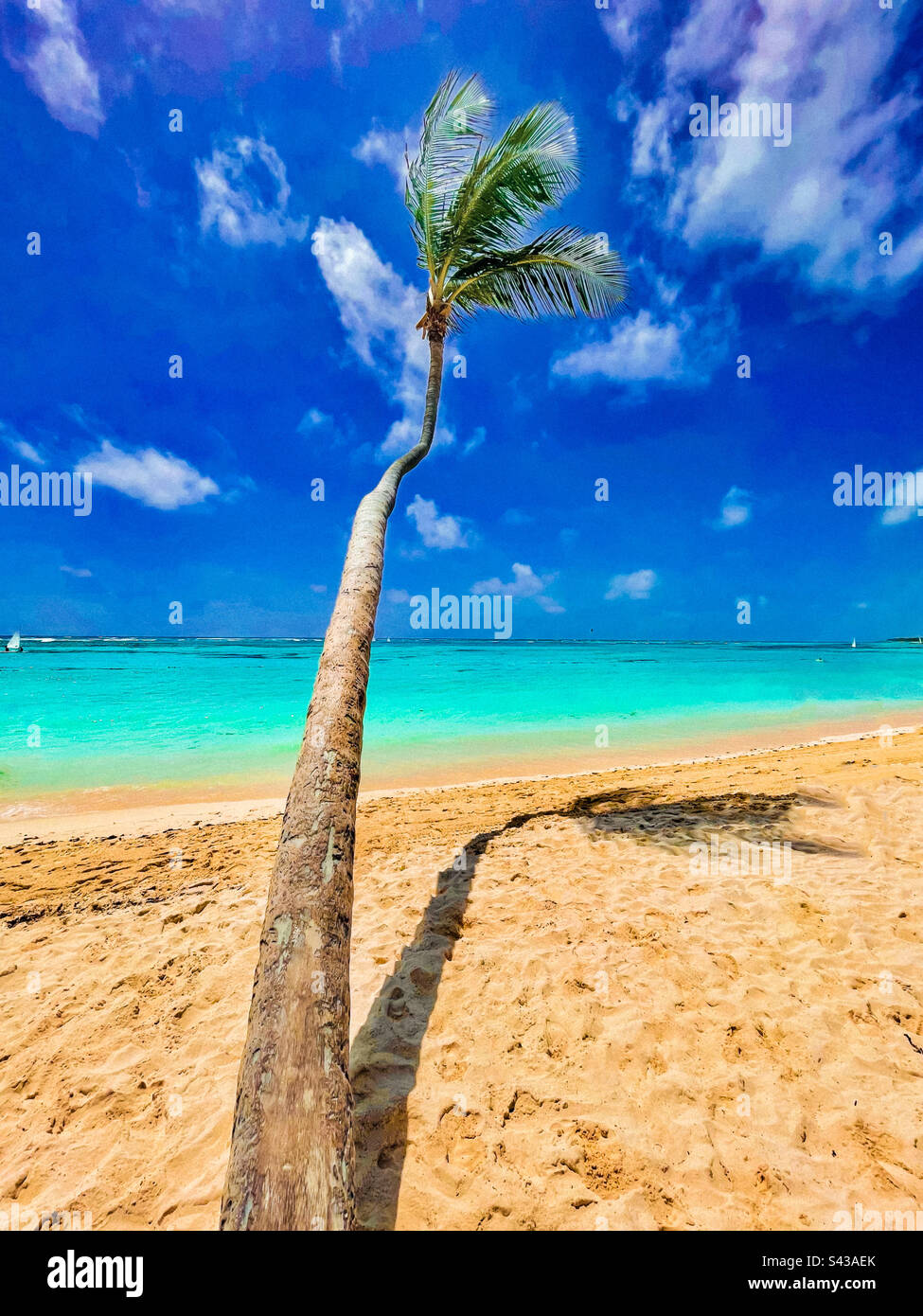Style de vie de l'île, les couleurs de la détente loin du monde réel. Les couleurs des vacances sont toujours vives. Eaux des Caraïbes et ciel avec palmier pour une escapade et une aventure - Image de stock capturée avec un smartphone