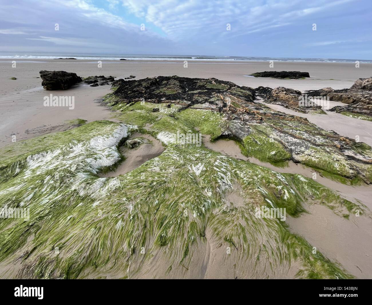 Rochers couverts d'algues à la plage de Lossiemouth Banque D'Images