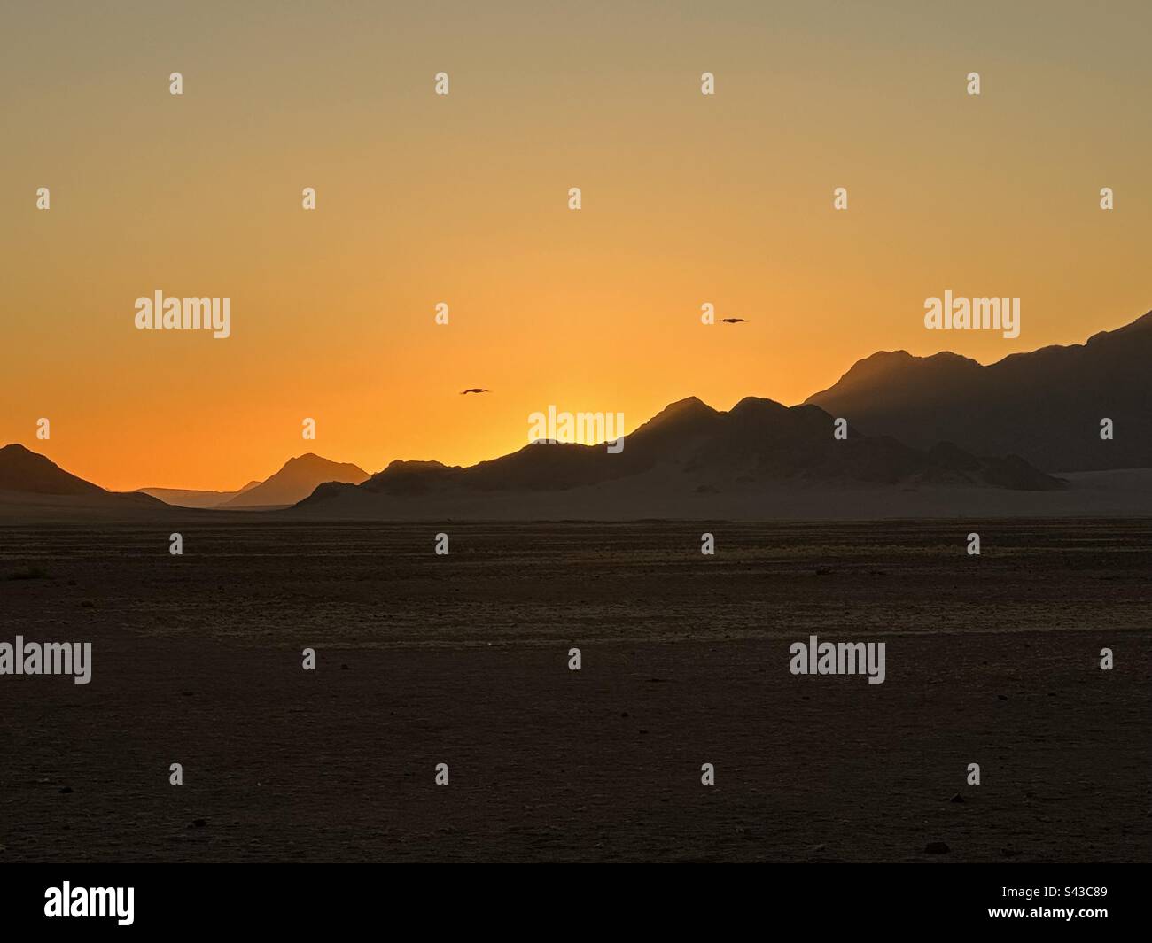 Coucher de soleil dans le désert. Banque D'Images