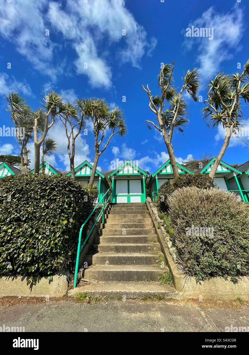 Cabanes de plage et palmiers à Langland Bay, Swansea, Gower, sud-ouest du pays de Galles, avril. Banque D'Images