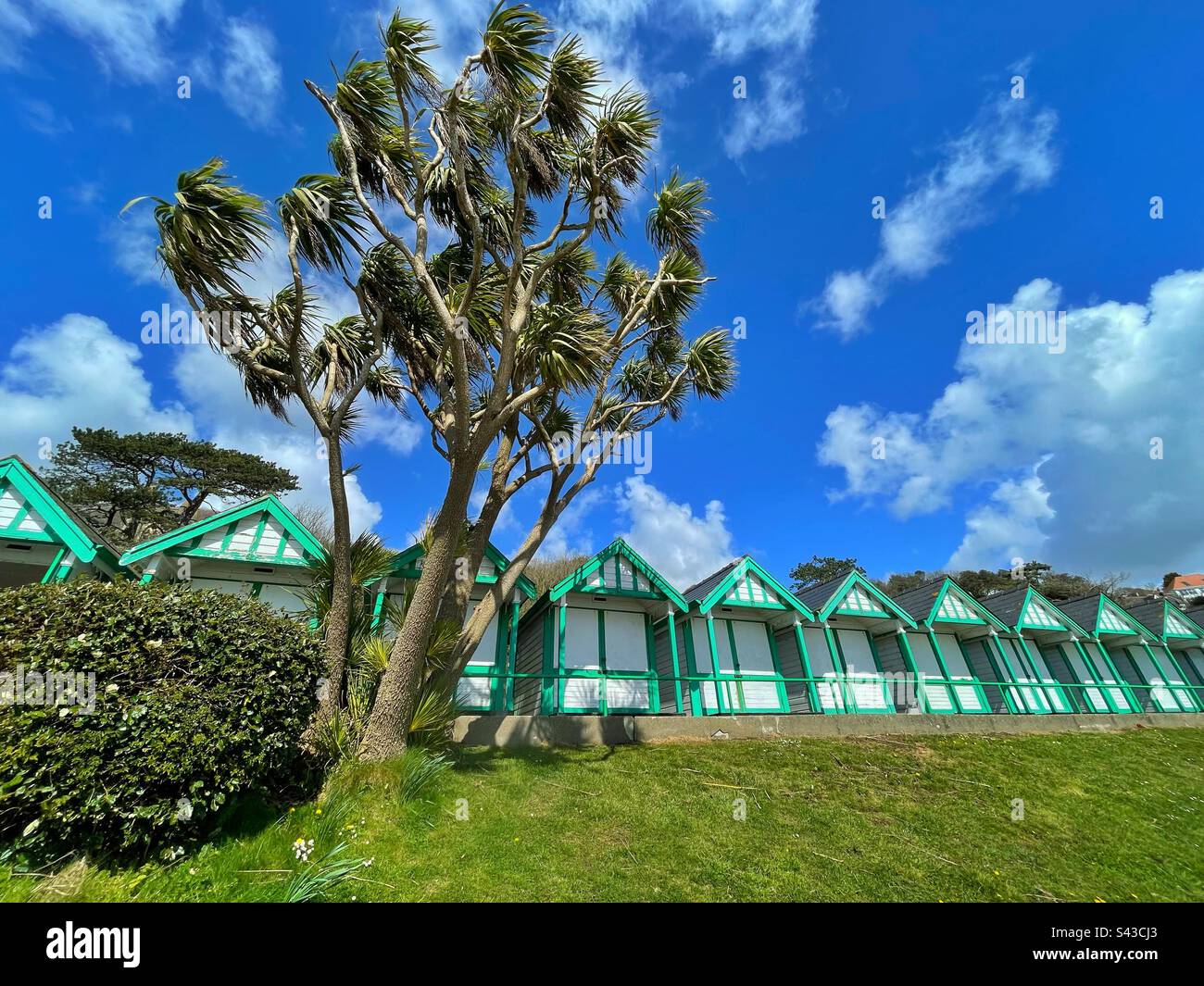 Cabanes de palmiers et de plage à Langland Bay, Swansea, Gower, sud-ouest du pays de Galles. Banque D'Images