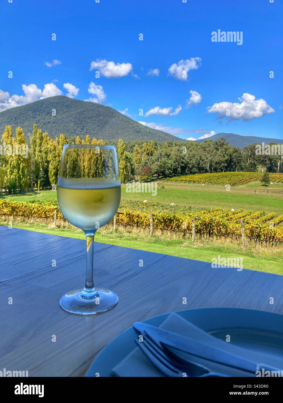 Verre de vin blanc dans un vignoble australien Banque D'Images