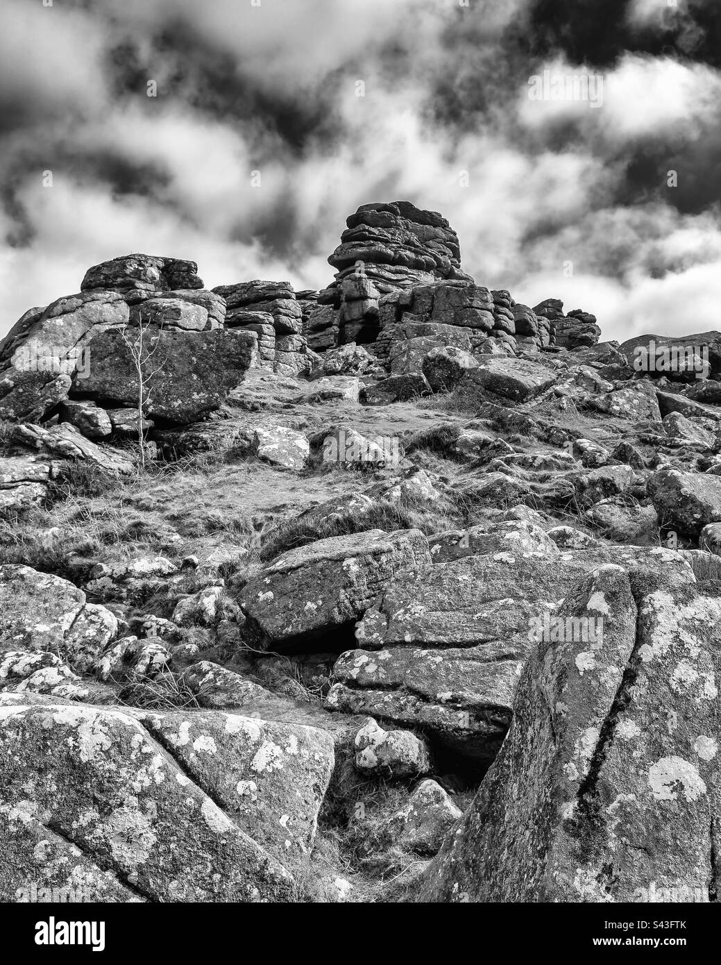 Hound Tor, Dartmoor Banque D'Images