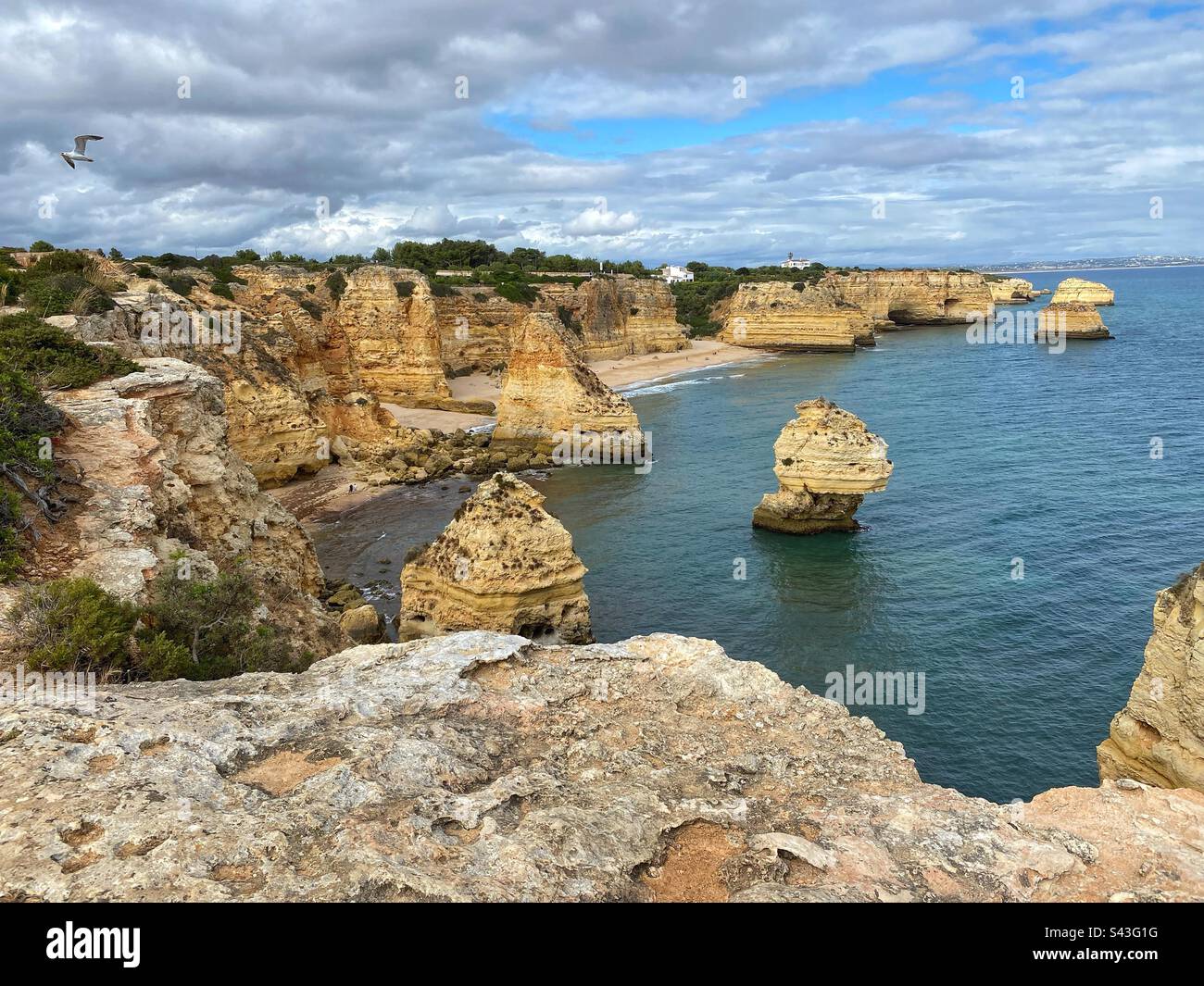 Vue panoramique avec falaises de grès à Marinha Beach en Algarve, Portugal. - Image de stock capturée avec un smartphone