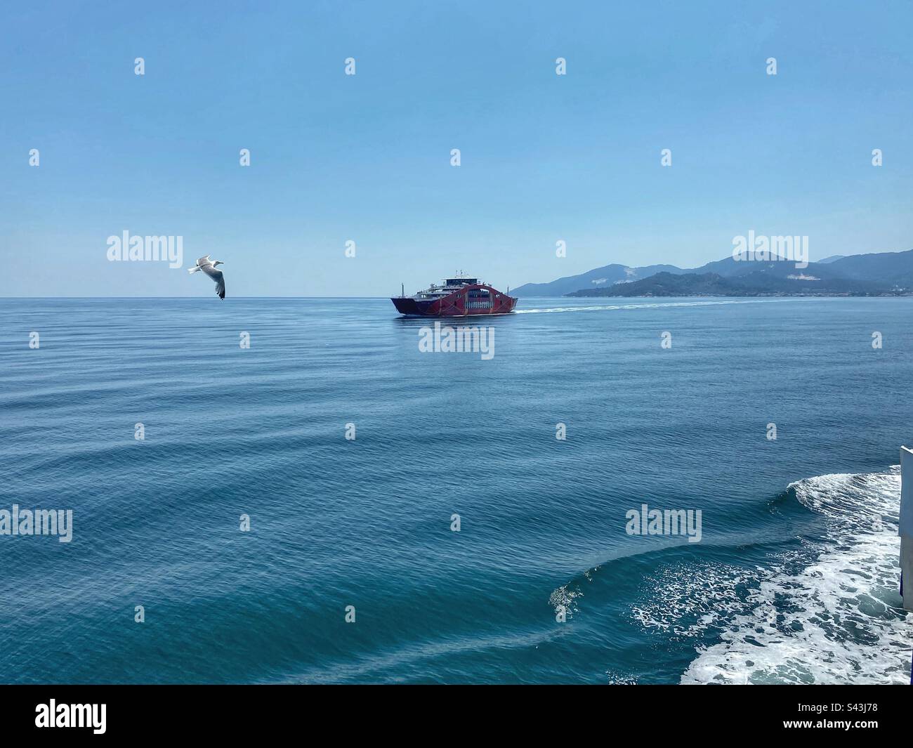 Vue sur la mer avec mouette volante, ferry rouge et une partie de l'île de Thassos en Grèce. Banque D'Images