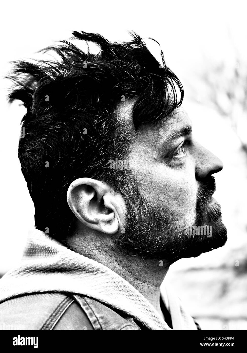 Profil d'un homme barbu avec un regard lointain Banque D'Images
