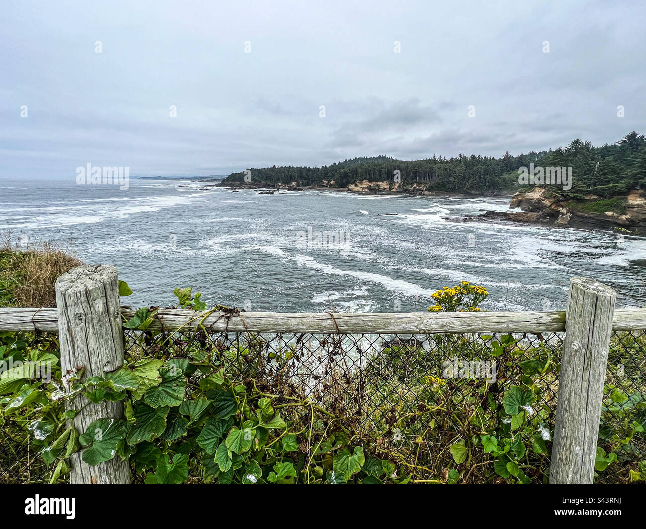 Côte de l'Oregon en été - Image de stock capturée avec un smartphone