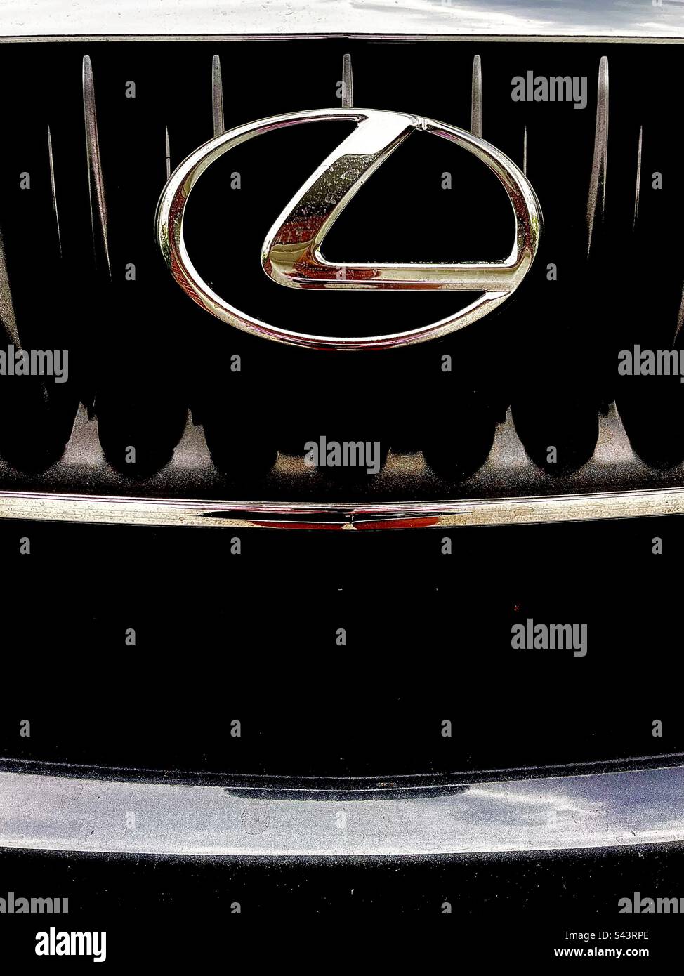 Gros plan sur l'avant de Lexus noir, affiche le grill et le logo. Inclut l'espace d'impression. Banque D'Images