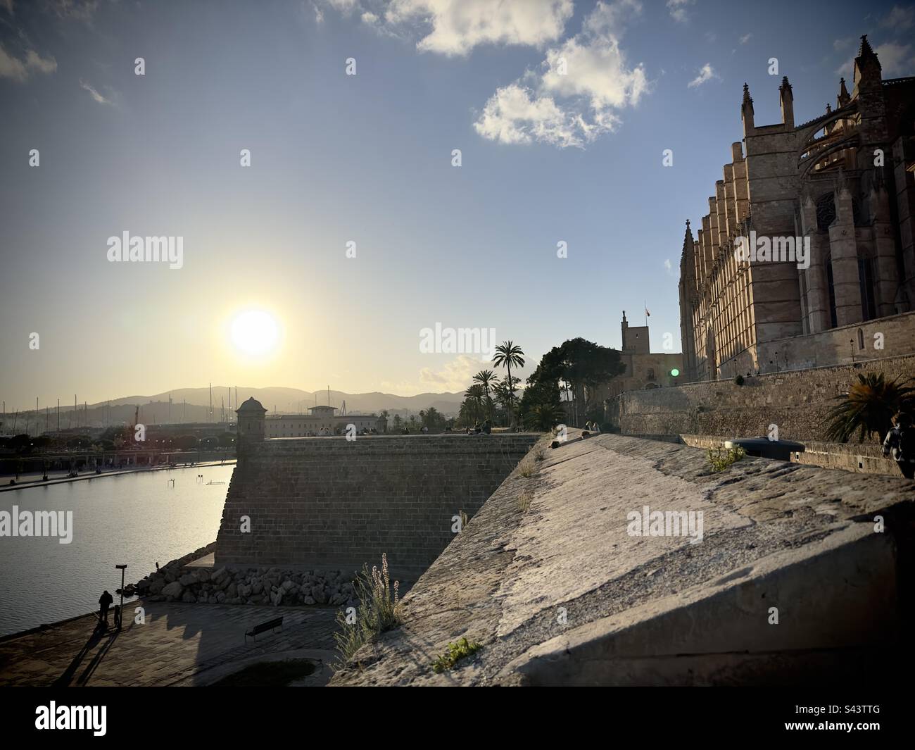 Cartagena cathedral Banque de photographies et d’images à haute
