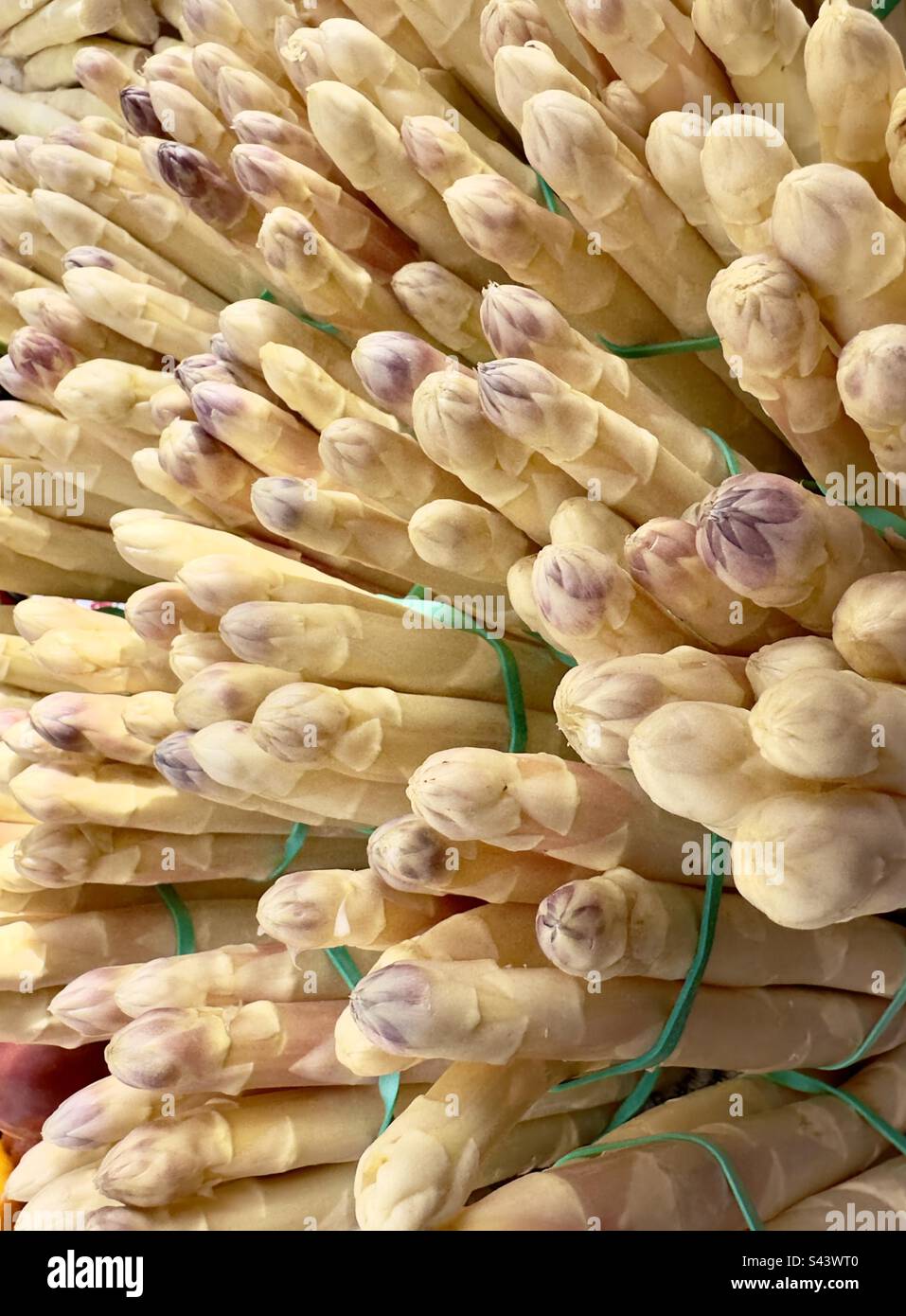 Forfaits d'asperges blanches en vente sur un marché de la rue française. Banque D'Images