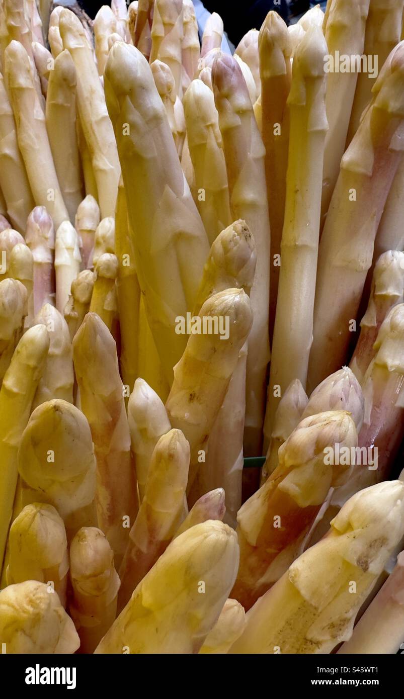 Asperges blanches en vente sur un marché de la rue française Banque D'Images