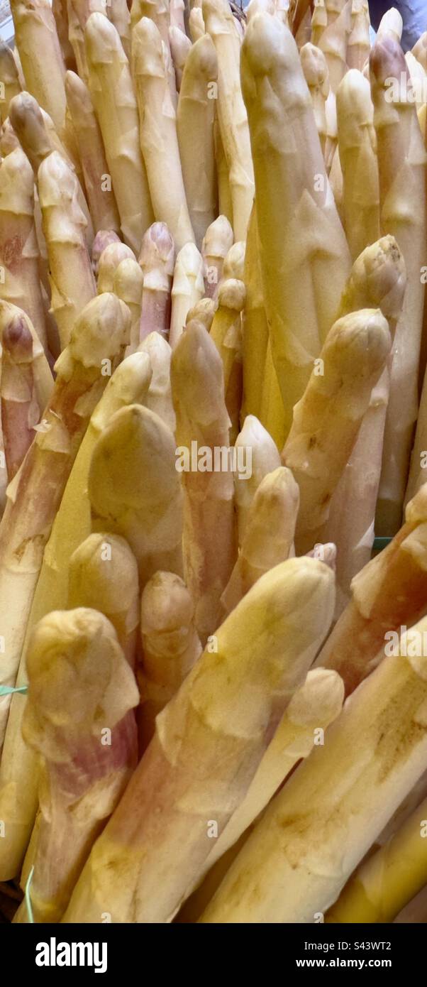Asperges blanches à vendre sur un marché de la rue française - Image de stock capturée avec un smartphone