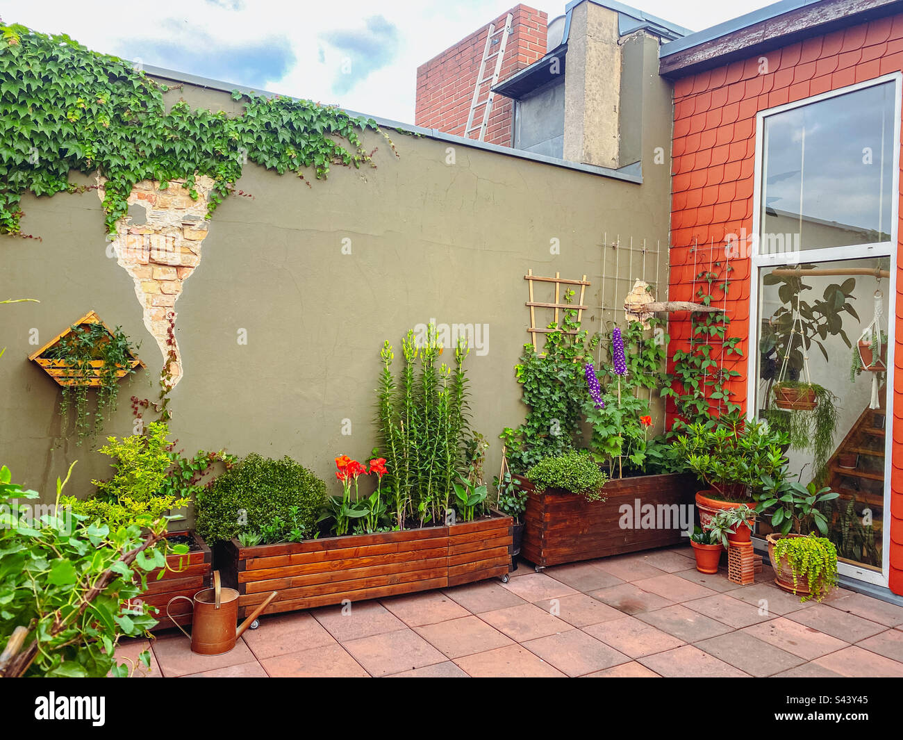 Un beau et luxuriant jardin sur le toit - Image de stock capturée avec un smartphone