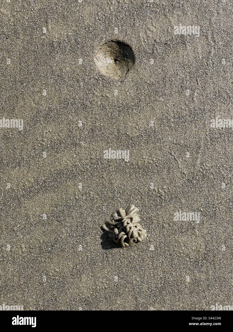 Trou de ver et de souffle d'un ver (marina d'Arenicola) sur une plage de sable gallois. Banque D'Images