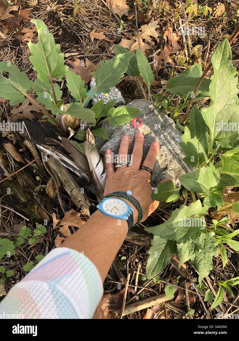 Une femme qui se connecte à la nature. Banque D'Images