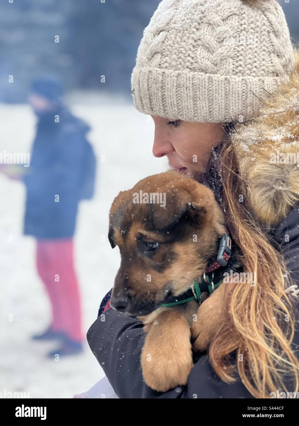 Jeune fille réchauffant un chiot Banque D'Images