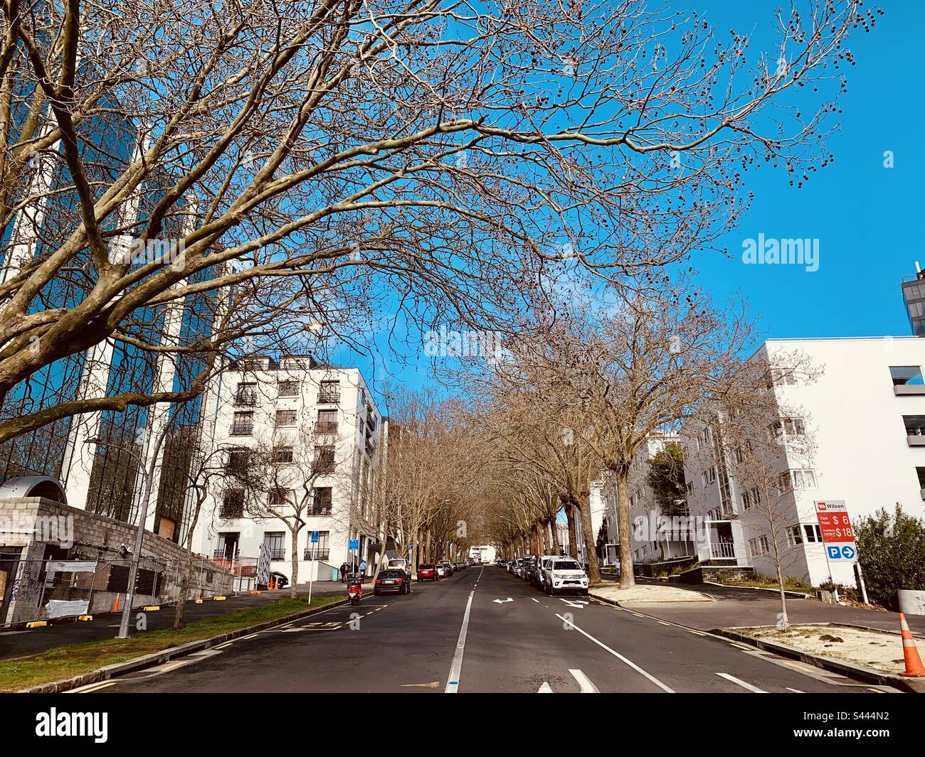 Auckland City Road - automne Banque D'Images