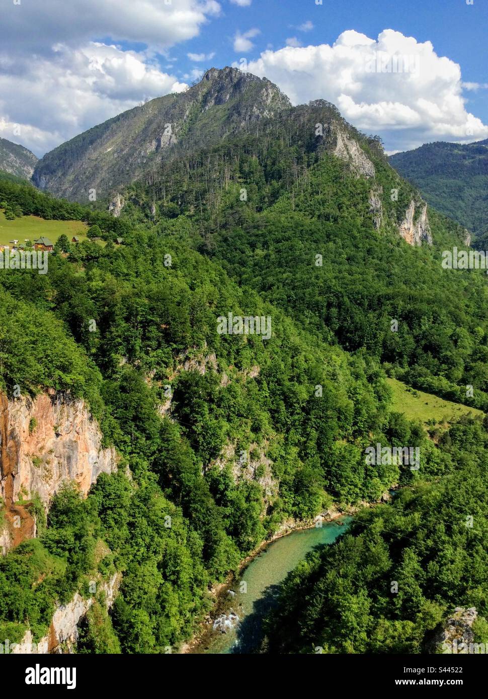 Vue à couper le souffle depuis le célèbre pont de Djurdjevica jusqu'aux hautes montagnes et à la rivière Tara au fond du canyon - Image de stock capturée avec un smartphone