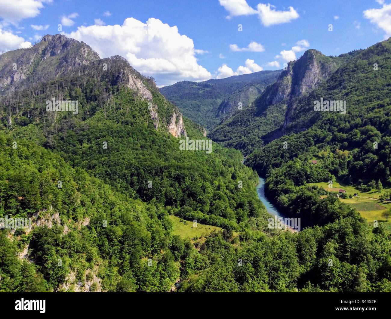 Vue à couper le souffle depuis le célèbre pont de Djurdjevica jusqu'aux hautes montagnes et à la rivière Tara au fond du canyon - Image de stock capturée avec un smartphone