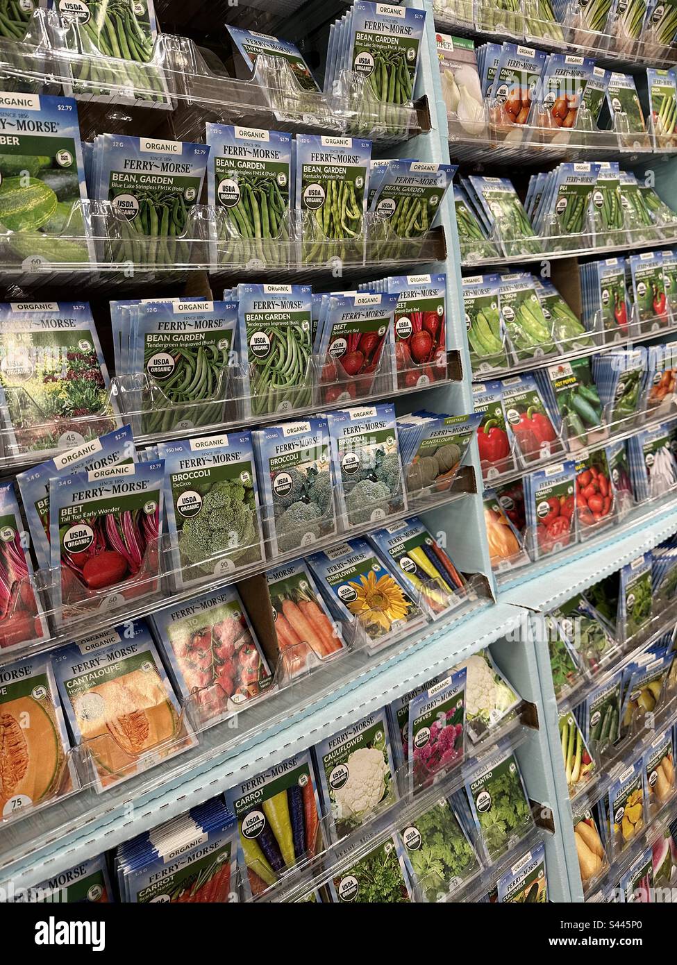 Affichage des semences biologiques - Image de stock capturée avec un smartphone