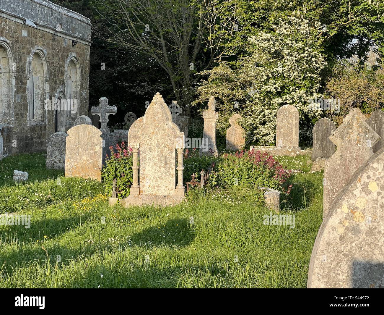 De magnifiques pierres à tête en granit ornées dans le cimetière de l’église St Nicholas, lors d’une chaude soirée d’été ensoleillée à Abbotsbury, Dorset, Angleterre Banque D'Images