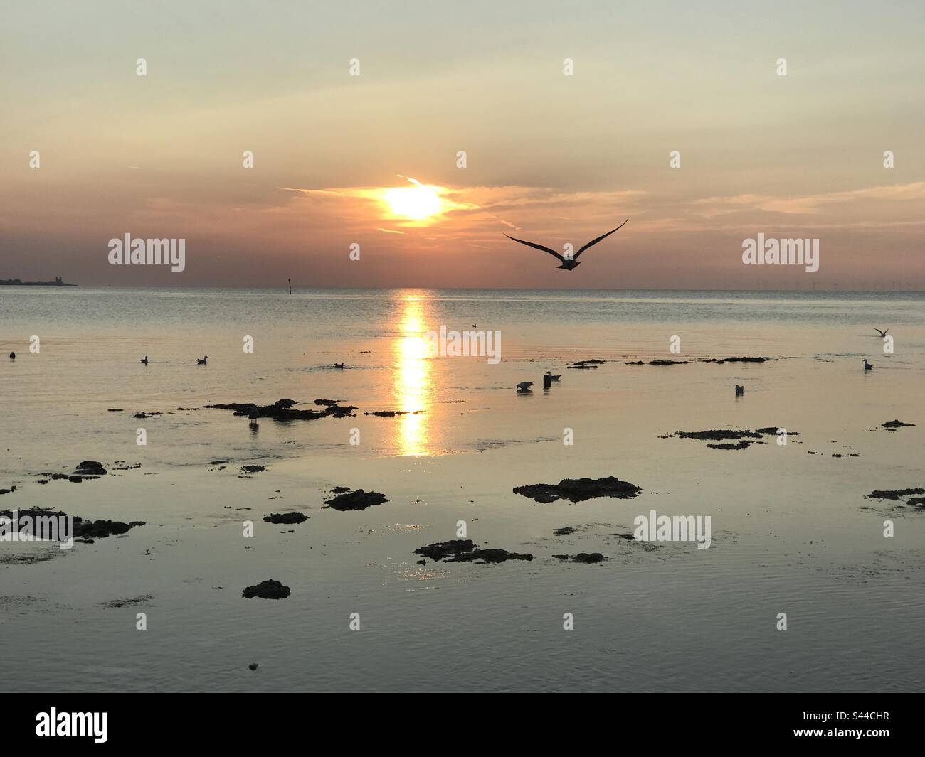 Minnis Bay, Birchington - coucher de soleil en soirée Banque D'Images