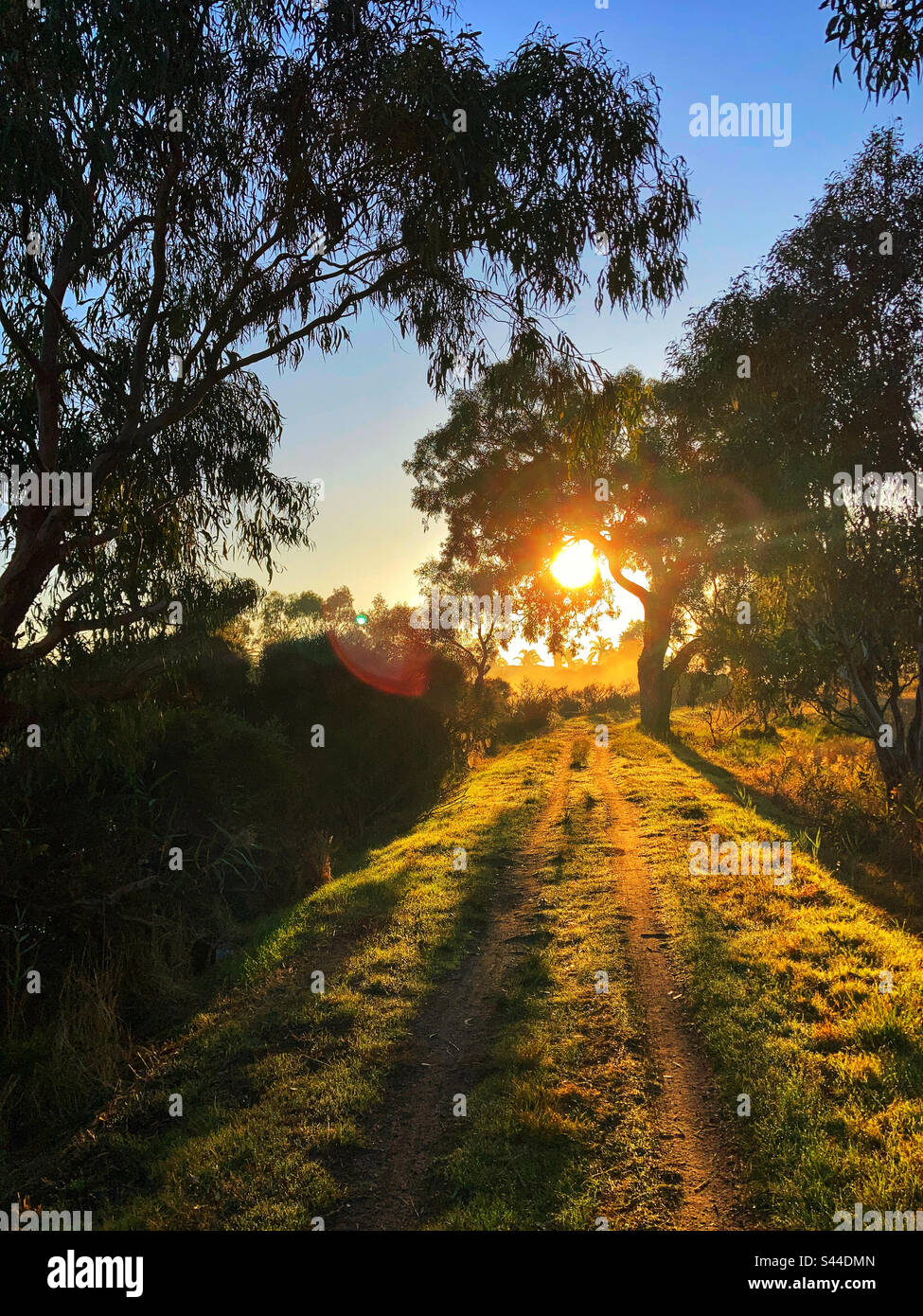 Sentier à pied Kananook Creek à Sunrise Victoria Australie Banque D'Images