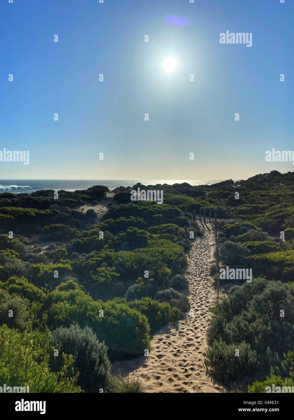 Chemin à travers les dunes de la plage St Andrews Mornington Peninsula Victoria Australie Banque D'Images