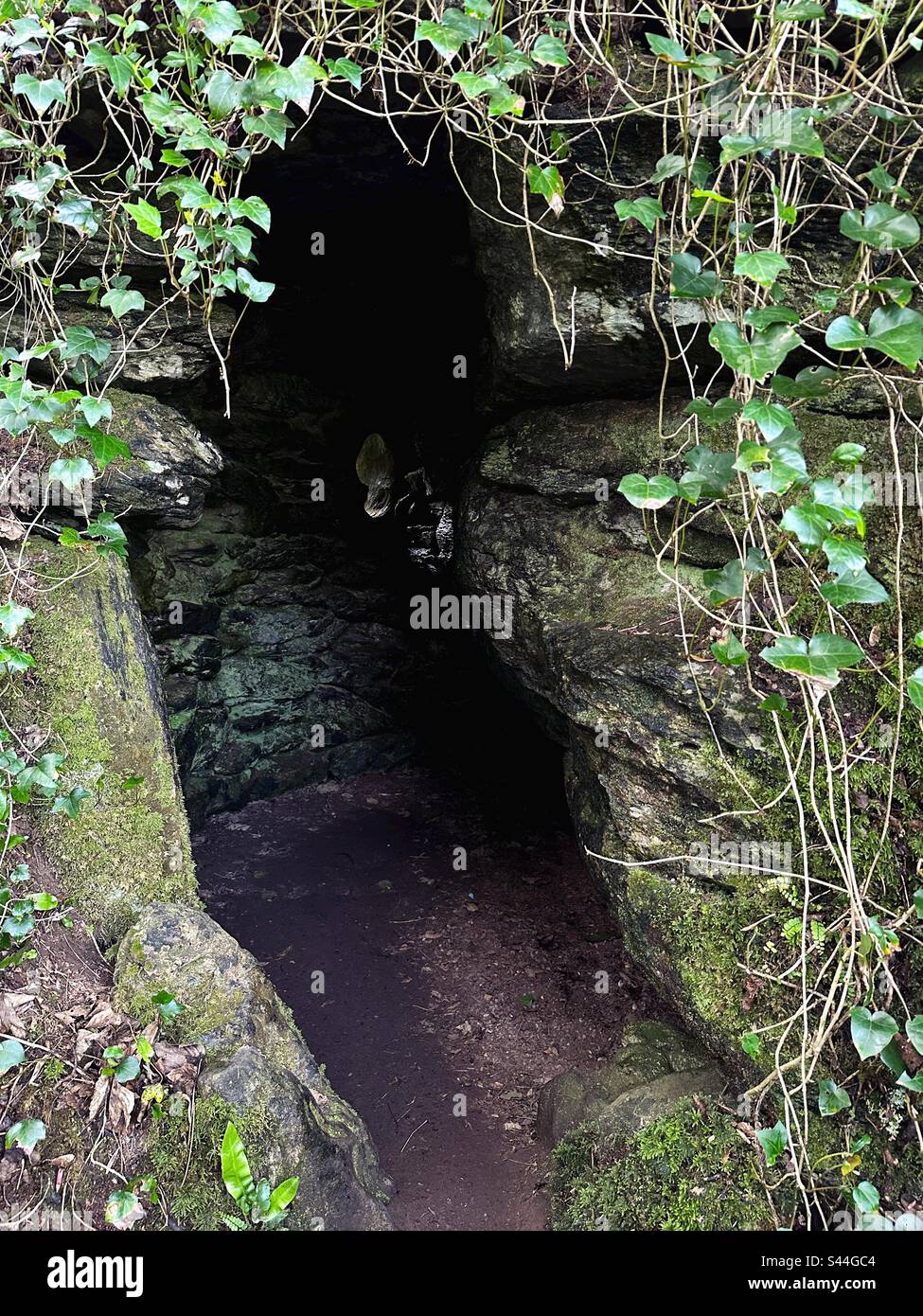 La grotte des druides au château et jardins de Blarney, à Blarney, en Irlande. Banque D'Images