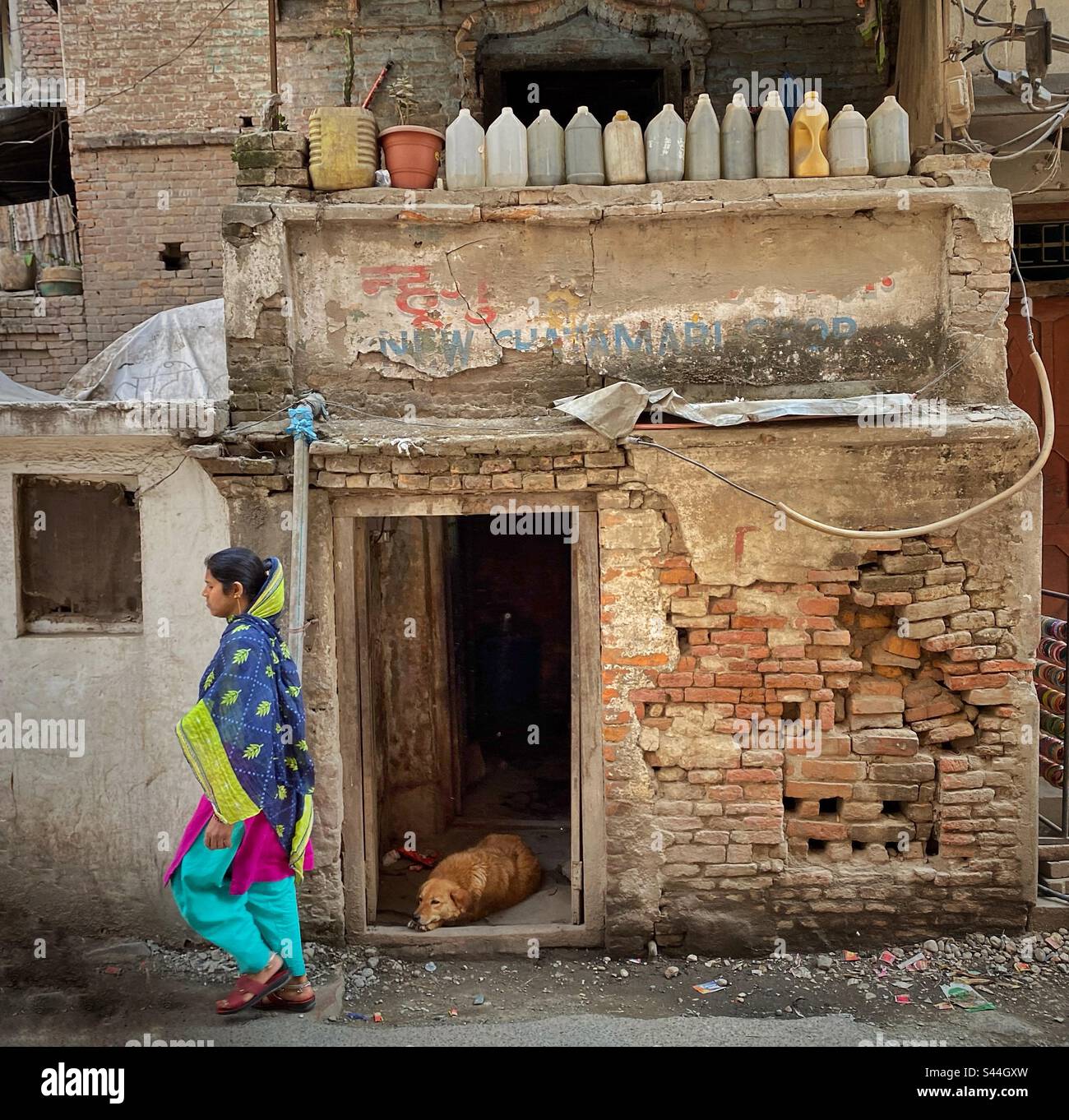 Un chien triste regardant la vie de rue à Katmandou, Népal Banque D'Images