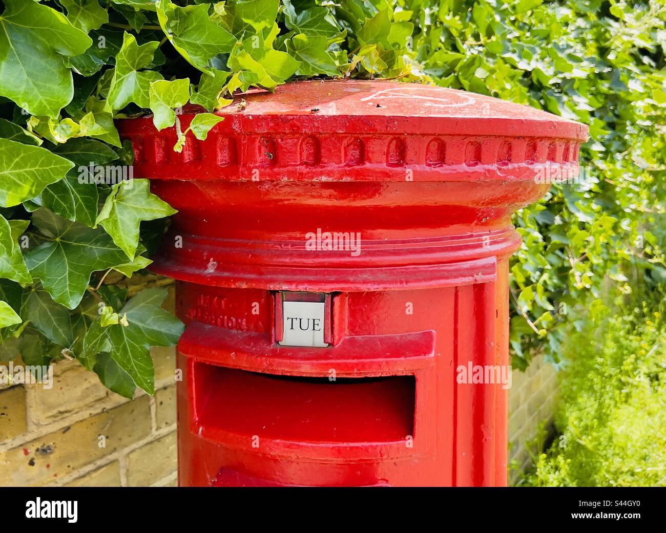 Boîte postale britannique Royal Mail rouge entourée de verdure Banque D'Images