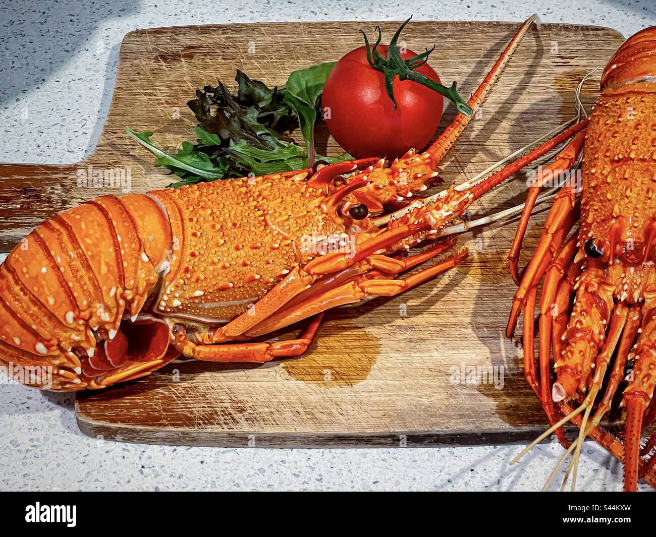 Vue en grand angle de deux homards de roche de l'Ouest cuits avec des feuilles de salade et une tomate sur une planche à découper en bois sur le plan de travail de la cuisine. - Image de stock capturée avec un smartphone