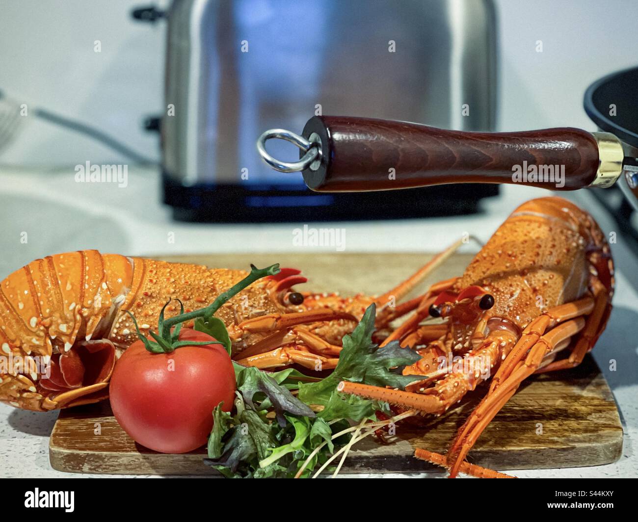 Vue panoramique de deux homards de roche de l'Ouest cuits avec des feuilles de salade fraîches et une tomate sur une planche à découper en bois sur le plan de travail de la cuisine avec une poêle et un grille-pain. - Image de stock capturée avec un smartphone