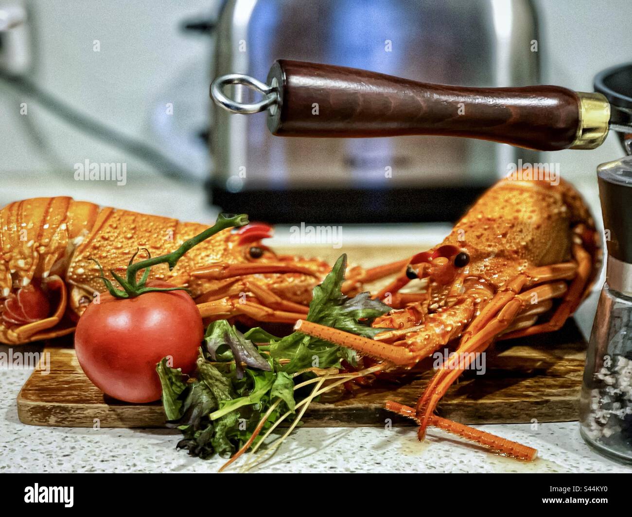 Gros plan de deux homards de roche de l'Ouest cuits avec des feuilles de salade fraîches et une tomate sur une planche à découper en bois sur le plan de travail de la cuisine avec une poêle, un moulin à sel et à poivre et un grille-pain. - Image de stock capturée avec un smartphone
