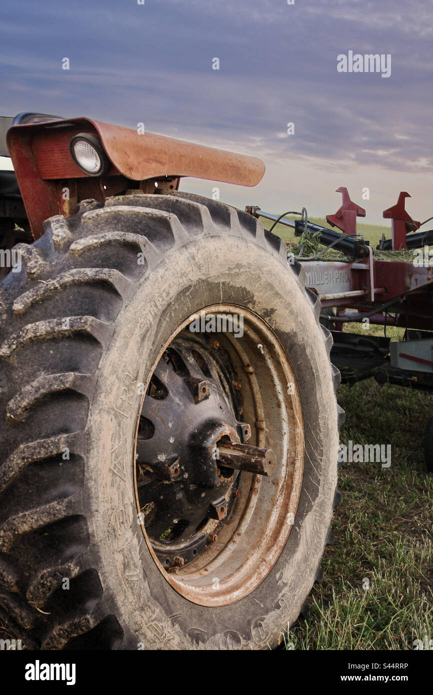 Dubuque, Iowa, 28 mai 2023 – photo en gros plan d'un tracteur d'époque, assis dans un champ de maïs, prise au coucher du soleil. Banque D'Images