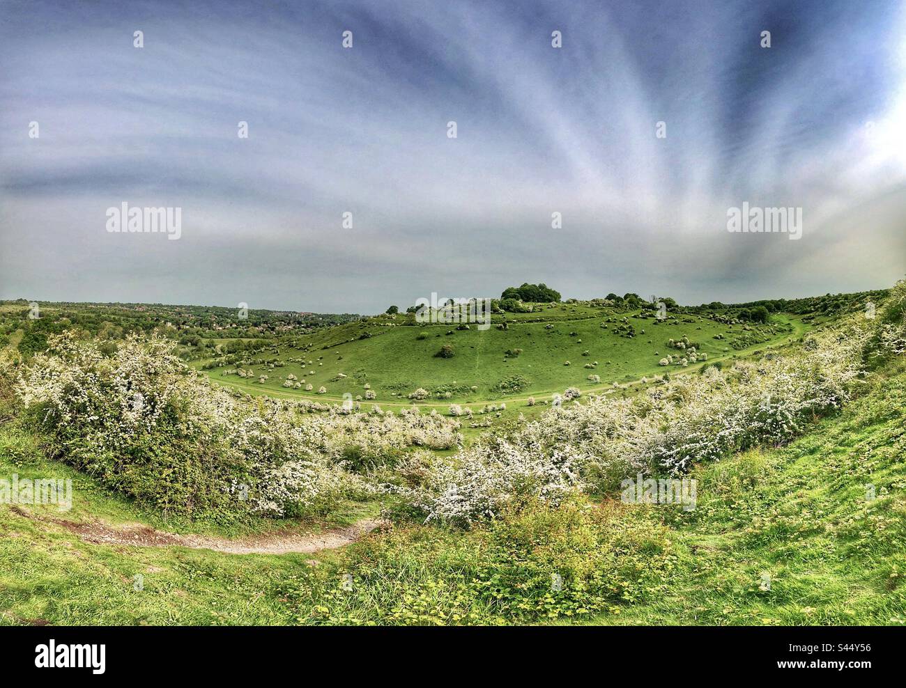 Réserve naturelle de St Catherine's Hill au printemps, Winchester Hampshire Royaume-Uni - Image de stock capturée avec un smartphone